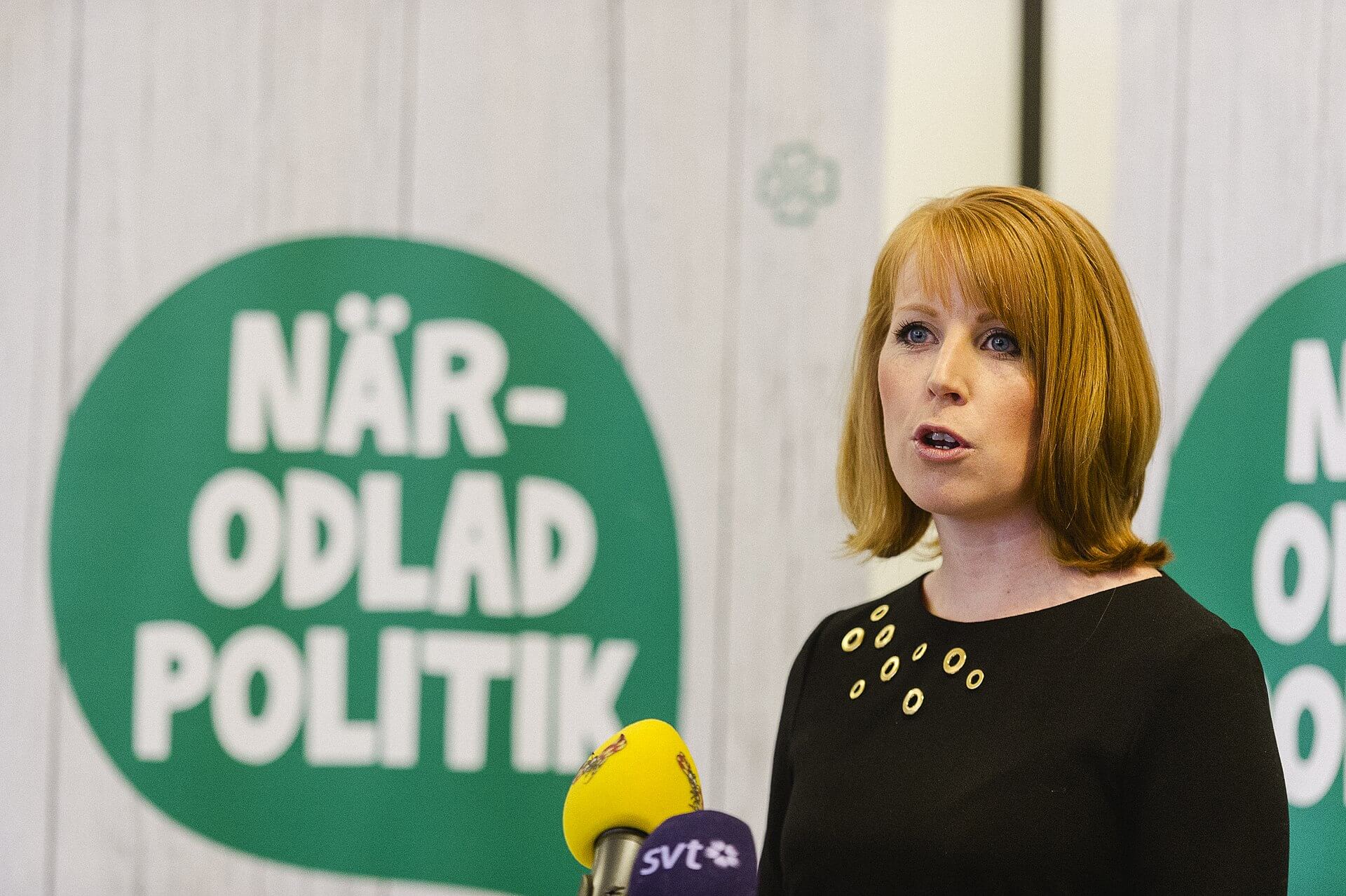 C stoppar alliansens misstroendeförklaring mot försvarsministern