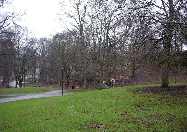 Modulhus för 90 nyanlända uppförs intill Tantolunden i Stockholm – många fler att vänta