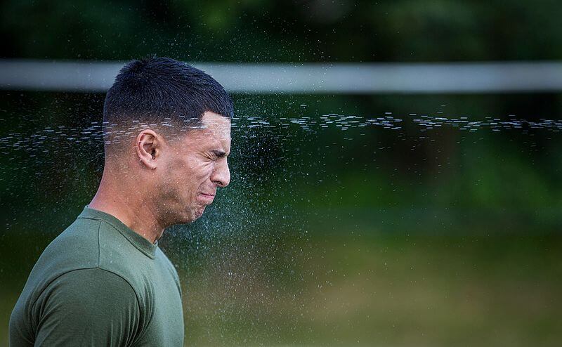 M-riksdagsledamot kopierar gammalt SD-förslag om pepparsprej