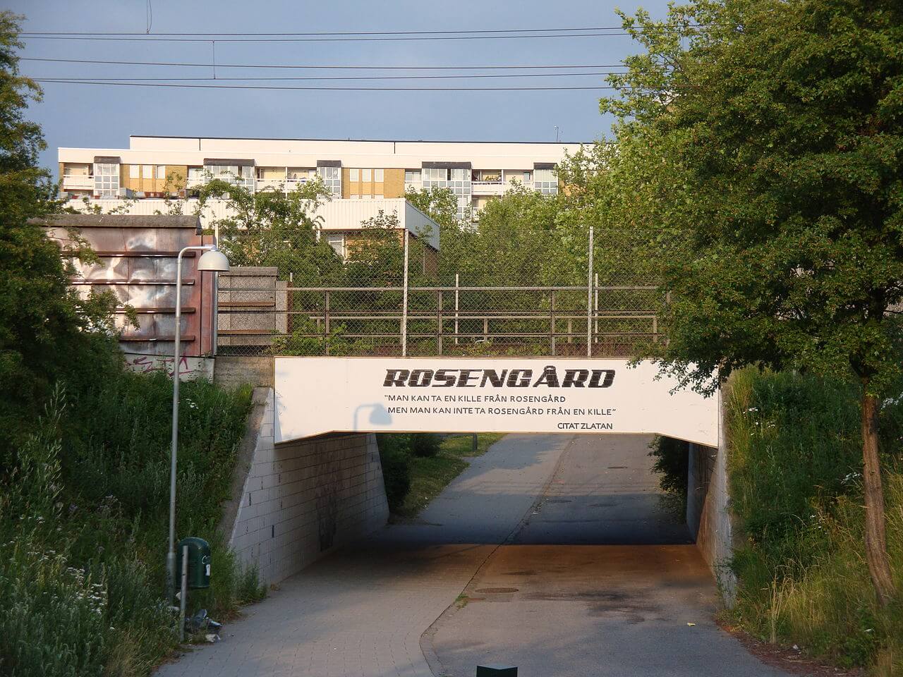 Organisation med terrorkopplingar får bidrag för att nattvandra åt Malmö stad