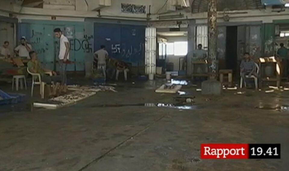 SVT ”glömmer” uppmärksamma hakkors i inslag om fiskmarknad i Gaza