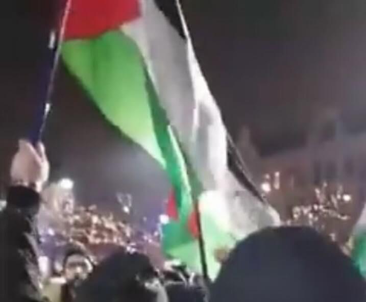 Antisemitisk demonstration i Malmö: ”Vi ska skjuta judarna”