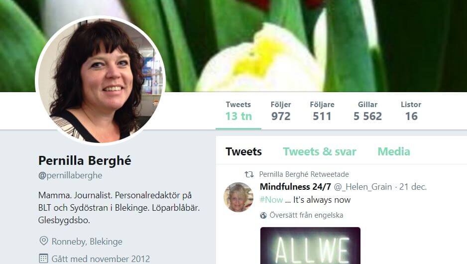 Journalist ogillar användarnamn på Twitter – vill skvallra för arbetsgivaren