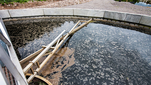 Sveriges avloppsrening döms ut – hundratals miljoner i EU-böter hotar