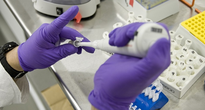 UPPGIFTER: WHO hjälpte Kina dölja spåren efter coronaviruset