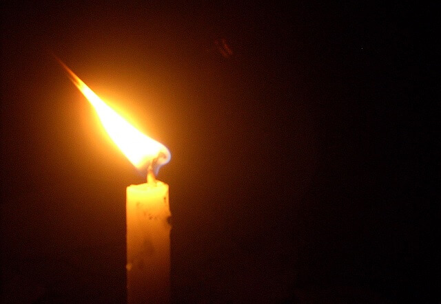 Ljusmanifestation hölls för skjuten varg