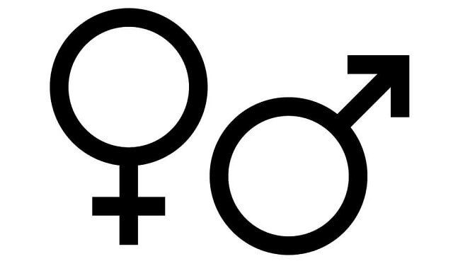 Ny studie slår fast att kön är biologiskt