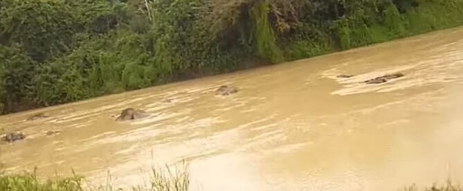 Skolflickor i Ghana förbjuds korsa floden när de menstruerar – påbud från flodguden