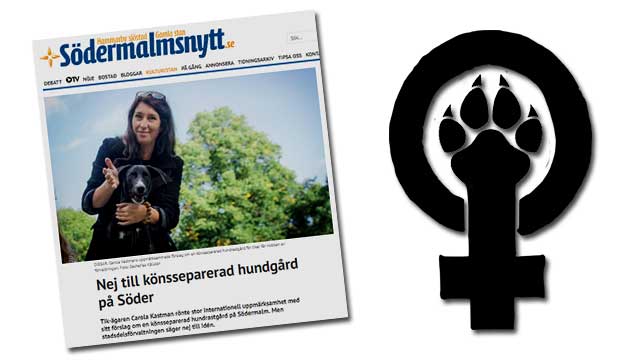 Hanhundarnas patriarkala förtryck består – ingen skyddad zon för tikar i Stockholm