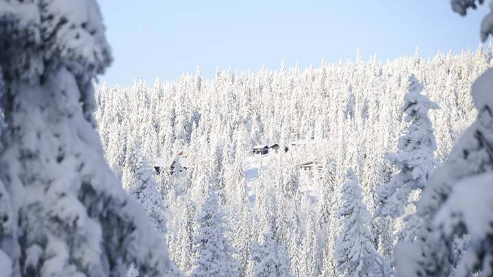 Skistar eldade upp tiggarläger i Sälen
