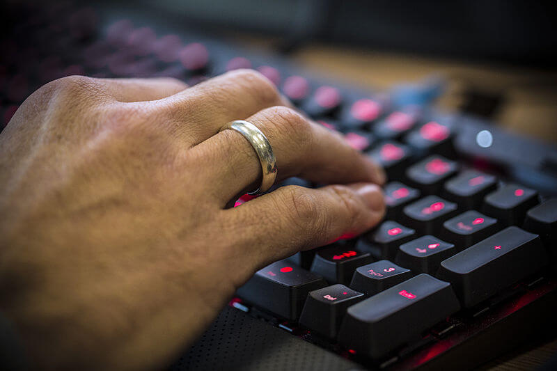 Kommunanställd efterlyste ”skyddsjakt på sverigedemokrater”