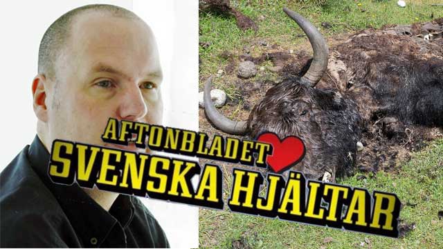 Näthatsgranskaren Tomas Åberg mystiskt försvunnen från Aftonbladets ”Svenska Hjältar” efter avslöjanden om djurplågeri
