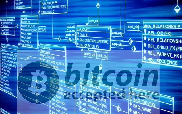 Institutioner satsar hårt på Bitcoin