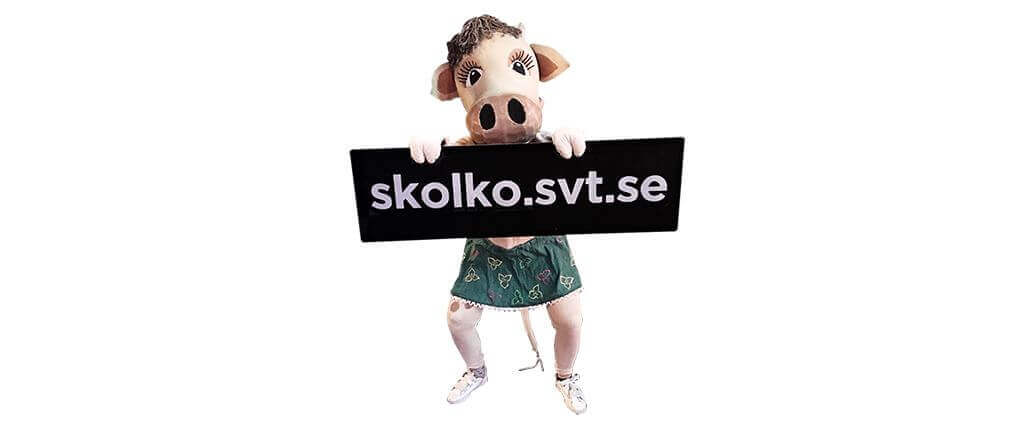 SVT försöker sabotera friskolornas verksamhet: ”Detta är public service i sin finaste form!”