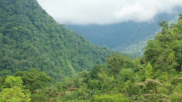 Efter freden i Colombia – forskare flockas till områden som tidigare var farliga