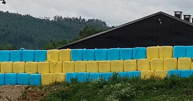 Bönder hyllade Sverige i fotbolls-VM – utpekas nu som rasister