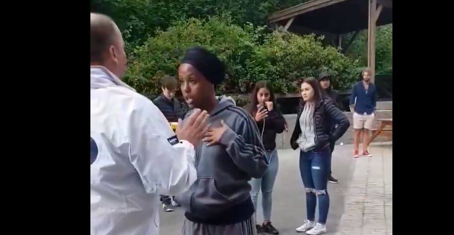 Två överfall på SD:s partiaktiva av invandrargäng under valarbetet