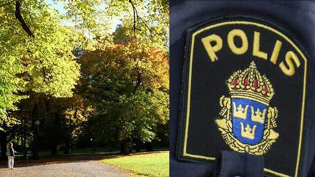 Flera sexuella övergrepp i Hagaparken i Solna – kvinna hotad med kniv