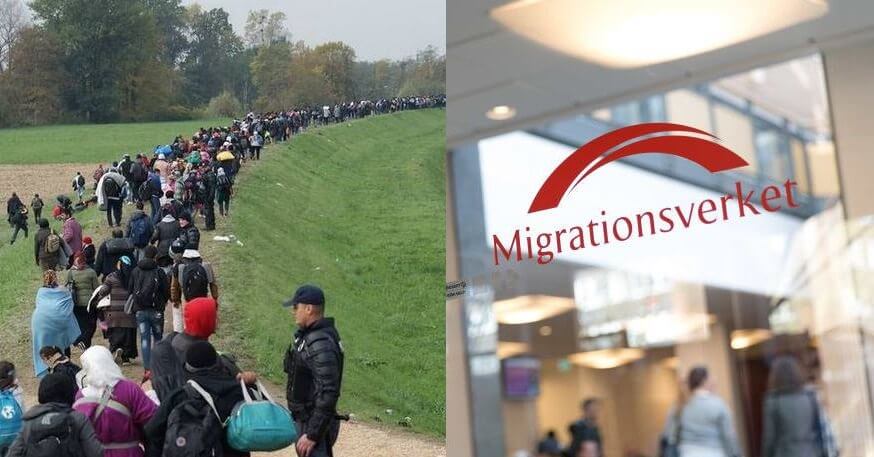 Migrationsverket erkänner: Vi gjorde ingen konsekvensanalys av vårt beslut