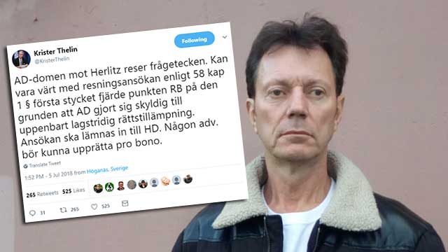Tidigare domare kritisk till AD-domen mot Herlitz: ”Lagstridig rättstillämpning”