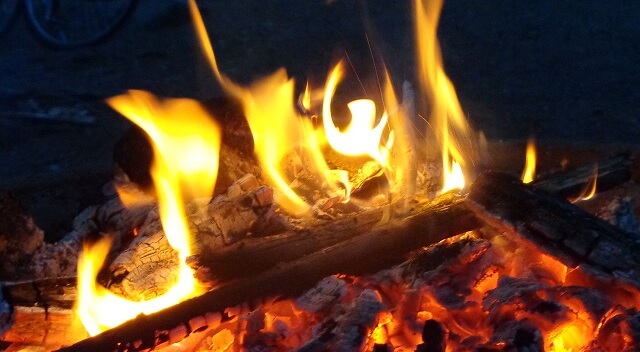 Bärplockare tvingas skriva kontrakt för att respektera eldningsförbud