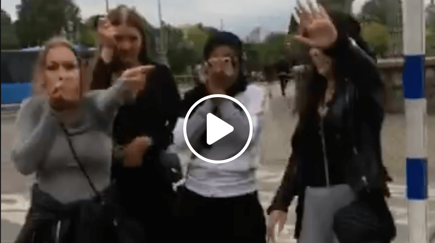 Video: Unga tjejer kastar sten på SD:are och somaliska killar pratar om att misshandla honom