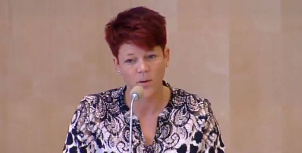 Man anhållen för skott vid buss med SD-riksdagsledamot