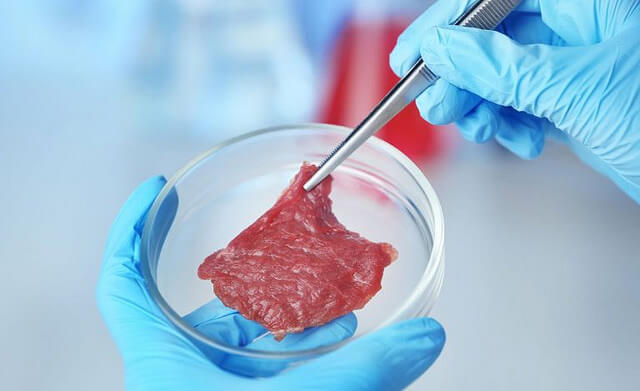 Kött tillverkat i ett labb snart i en affär nära dig