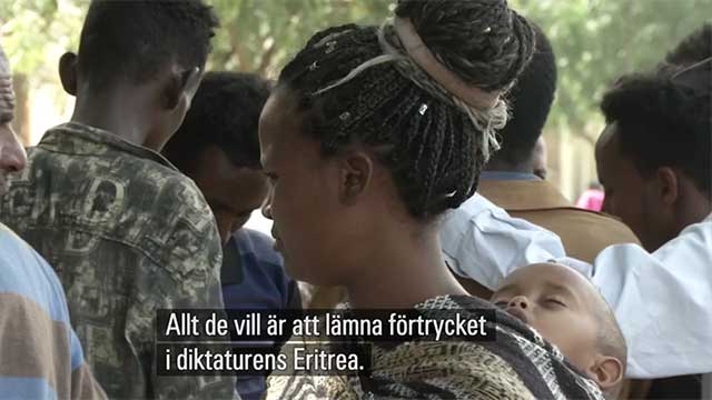 Den socialistiska diktaturens Eritrea kan tömmas på människor i arbetsför ålder