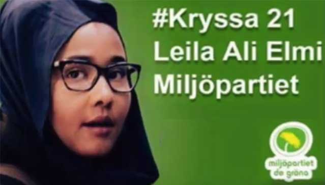 Miljöpartist som kryssades in i riksdagen spred hat mot frilansjournalist