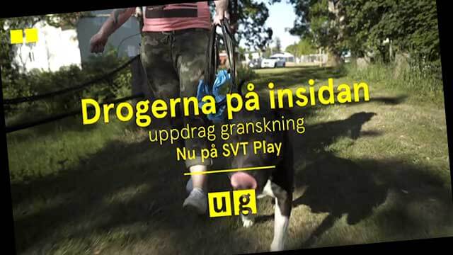 Svensk missbruksvård: knark på LVM-hem och kvinnlig personal som har sex med de tvångsintagna