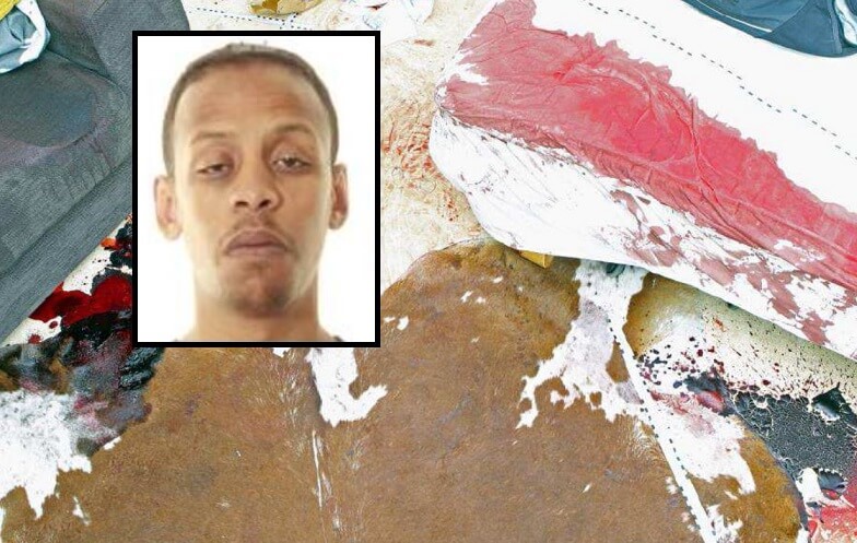 Yrkeskriminelle Suleman slaktade student i Umeå: ”Jag skar halsen av honom va”