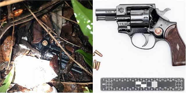 Kastade revolvern i buskage när polisen kom – frikändes i tingsrätten men döms av hovrätten