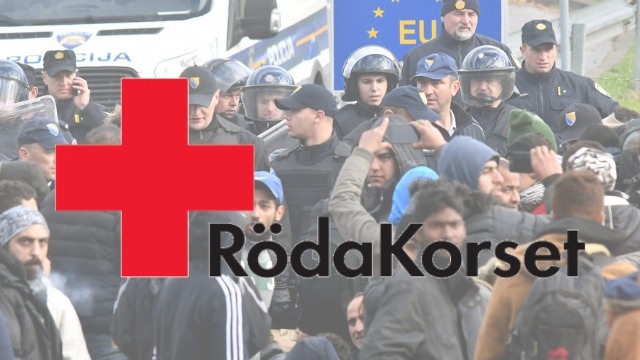 Svenska Röda Korset jublar över kritiserat FN-avtal: ”Godkänt! Redo att vara en del i förverkligandet”