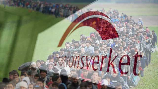 Efter tre rekordår i följd – nya regeringen vill öka invandringen ytterligare