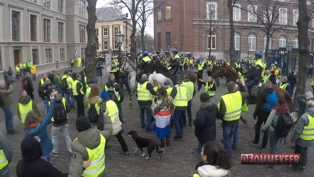 Ridande polis bröt upp Gula västarnas protest i Nederländerna