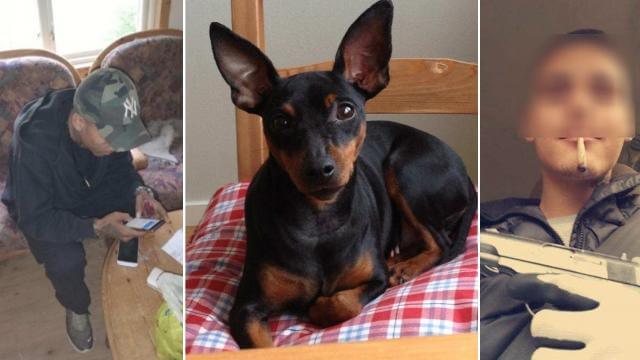 Knarksmugglare plågade hund till döds