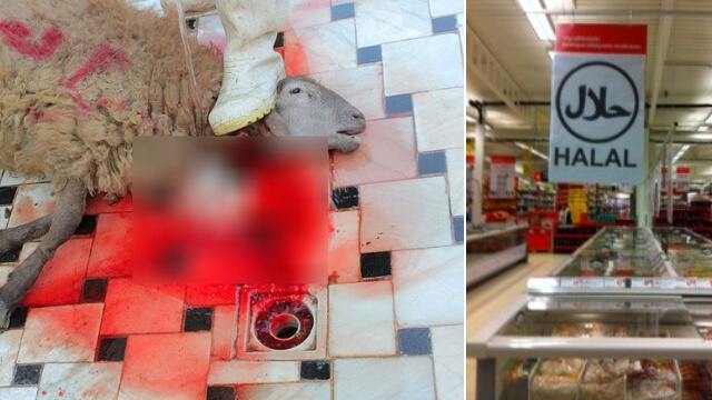 Belgien förbjuder halal- och kosherslakt
