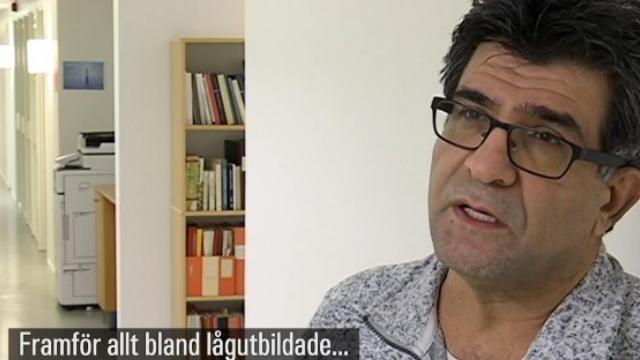 Studie: Svenskar alltmer negativa till mångkultur