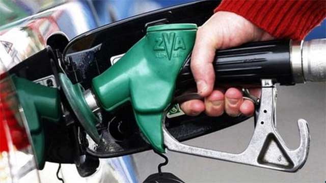 Bensinskatten ska fortsätta höjas lovar nya miljöministern Isabella Lövin (MP)