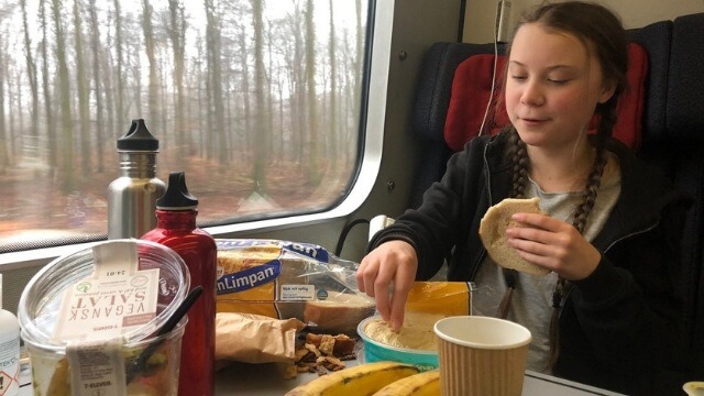 Klimat-Greta portad från EU-parlamentet – högerledamöter ges skulden