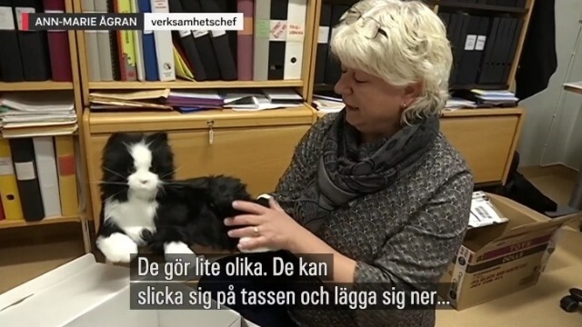 Krokom lugnar äldre med robotar: ”Man får lite samvaro”