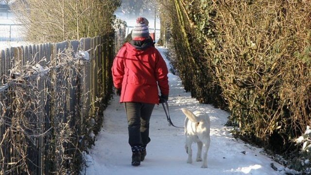 Cyklande barn attackerar kvinnor med slag och spottloskor