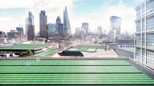 Högeffektiva ’biosolceller’ ska suga upp koldioxid ur atmosfären