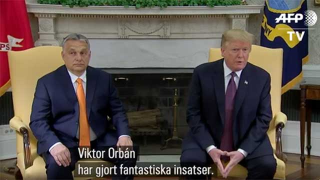 Trump hyllade Orbán efter toppmöte: ”Han har gjort ett fantastiskt jobb”