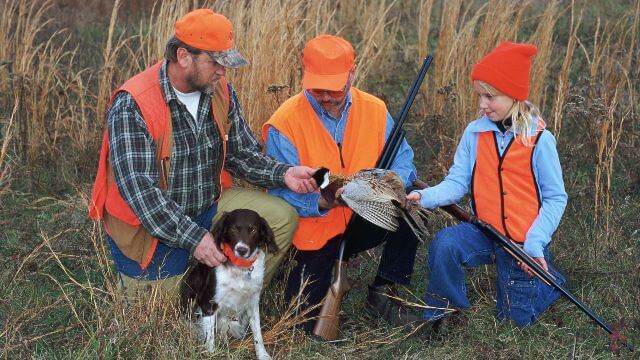Regeringens förslag om EU:s nya vapendirektiv faller