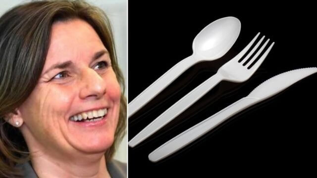 Regeringen vill gå längre än EU i plastförbud