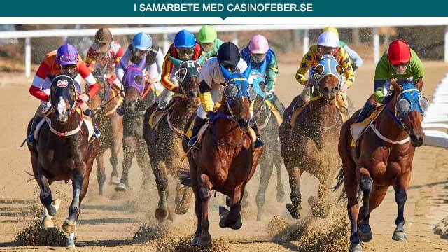 ATG:s utmaning att slå sig in på casinomarknaden