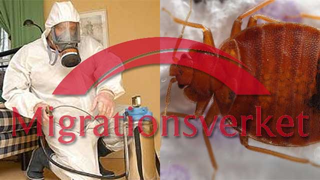 Migrationsverket tvingas utrymma ytterligare förvar efter utbrott av vägglöss