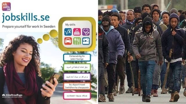 Arbetsförmedlingen har lagt 125 miljoner på begränsad CV-tjänst för migranter